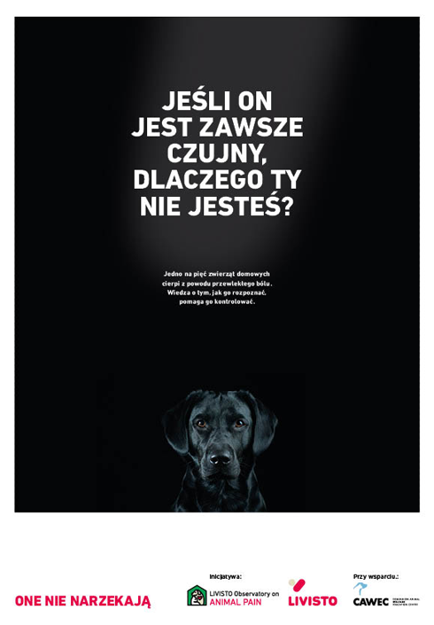 Campaign